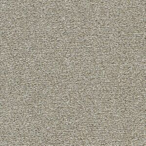 Dreamweaver Carpet Breakview II Gingerbread Carpet 4950_2811