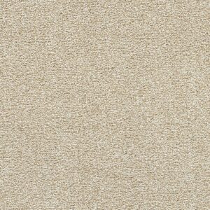 Dreamweaver Carpet Breakview III Coconut Shell Carpet 4960_2931