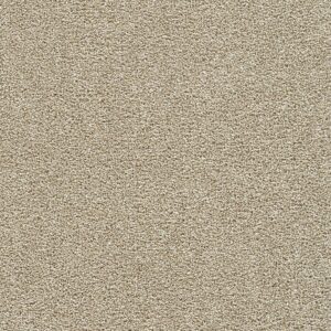 Dreamweaver Carpet Breakview I Spiced Apple Carpet 4940_2984