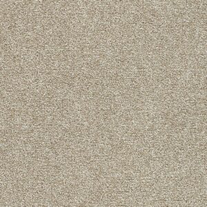 Dreamweaver Carpet Breakview II Grounded Carpet 4950_4040