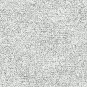 Dreamweaver Carpet Breakview III Milestone Carpet 4960_4048