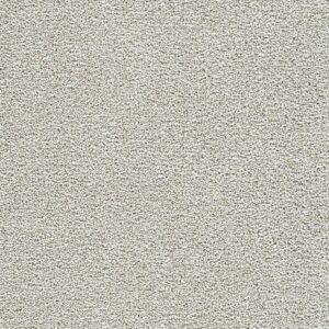 Dreamweaver Carpet Breakview III Shelburne Carpet 4960_4198