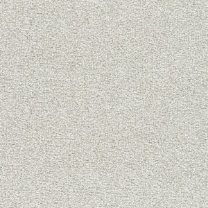 Dreamweaver Carpet Breakview II Peaceful Carpet 4950_4262