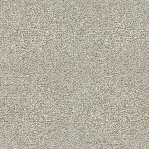 Dreamweaver Carpet Breakview I Jersey Carpet 4940_4429