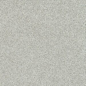 Dreamweaver Carpet Breakview III Cherish Carpet 4960_4468