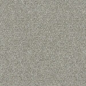 Dreamweaver Carpet Breakview II Ambience Carpet 4950_4565