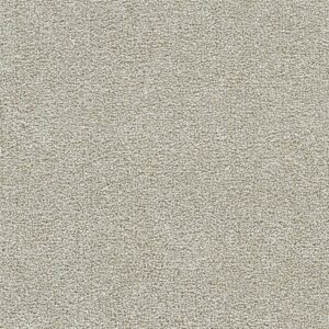 Dreamweaver Carpet Breakview III Anaheim Carpet 4960_4595