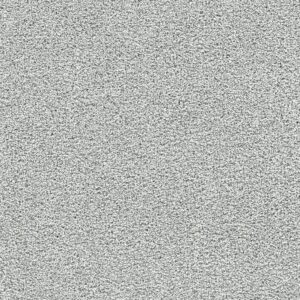 Dreamweaver Carpet Breakview III Misty Breeze Carpet 4960_4601