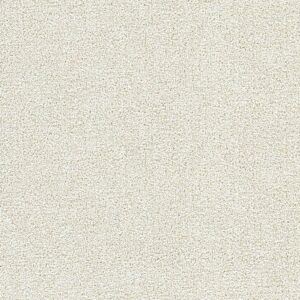 Dreamweaver Carpet Breakview III Cuddle Up Carpet 4960_4622