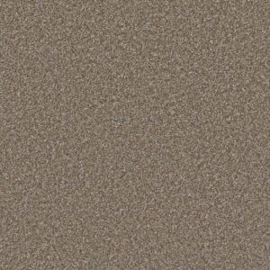 Dreamweaver Carpet Excalibur I Terrestrial Carpet 5042_2075