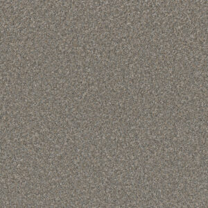 Dreamweaver Carpet Excalibur IV Stone Carpet 5072_2237
