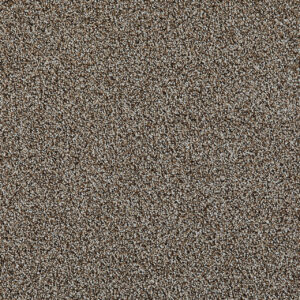 Dreamweaver Carpet Excalibur II Wales Carpet 5052_2308