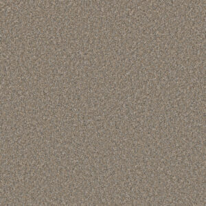 Dreamweaver Carpet Excalibur II Balsom Carpet 5052_2401
