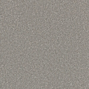 Dreamweaver Carpet Excalibur II Rockport Carpet 5052_2464