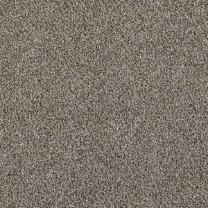 Dreamweaver Carpet Excalibur IV Welsh Carpet 5072_2490