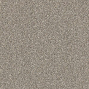 Dreamweaver Carpet Excalibur II Breezeway Carpet 5052_2526