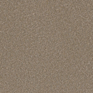 Dreamweaver Carpet Excalibur III Toffee Carpet 5062_2720