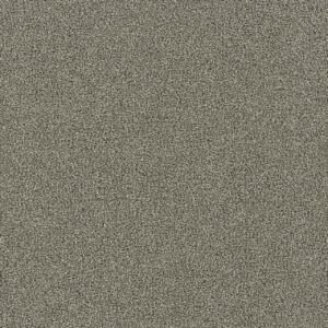 Dreamweaver Carpet Foxwood II Graceful Carpet 5051_333