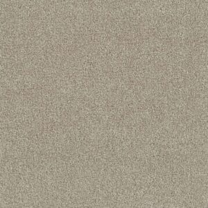 Dreamweaver Carpet Foxwood I Old Bay Carpet 5044_349