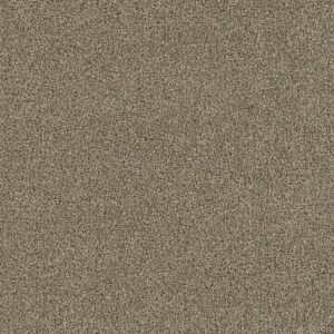Dreamweaver Carpet Foxwood III Iced Coffee Carpet 5066_373