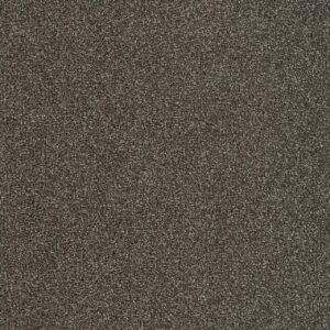 Dreamweaver Carpet Foxwood III Spicewood Carpet 5066_514