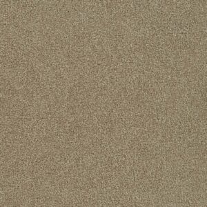Dreamweaver Carpet Foxwood I Wheat Carpet 5044_527