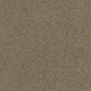 Dreamweaver Carpet Foxwood III Canyon Cliff Carpet 5066_571