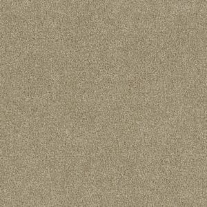 Dreamweaver Carpet Foxwood III Cashmere Carpet 5066_580