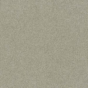 Dreamweaver Carpet Foxwood I Moon Mist Carpet 5044_6006