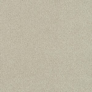 Dreamweaver Carpet Foxwood III Champagne Fizz Carpet 5066_6309