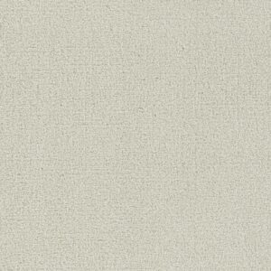Dreamweaver Carpet Foxwood I Alabaster Carpet 5044_6328