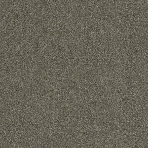 Dreamweaver Carpet Foxwood III Hickory Carpet 5066_669