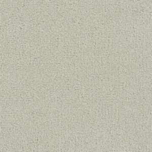 Dreamweaver Carpet Foxwood III Cloud Nine Carpet 5066_6809