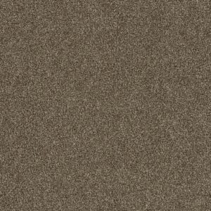 Dreamweaver Carpet Foxwood I Quall Carpet 5044_725