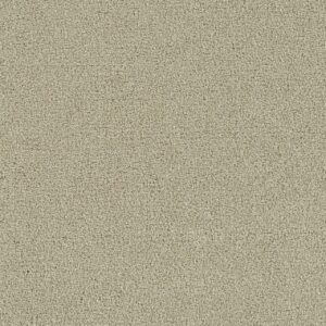 Dreamweaver Carpet Foxwood III Celebration Carpet 5066_728