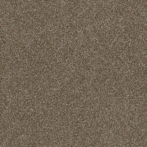 Dreamweaver Carpet Foxwood II Ashwood Carpet 5051_764