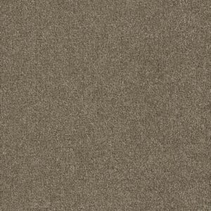 Dreamweaver Carpet Foxwood III Hazelnut Carpet 5066_775