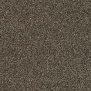 Dreamweaver Carpet Foxwood I Maple Carpet 5044_791