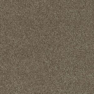 Dreamweaver Carpet Foxwood I Harbor Carpet 5044_792