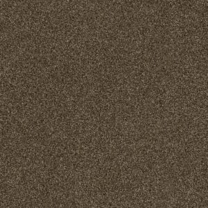 Dreamweaver Carpet Foxwood II Jacobean Carpet 5051_852