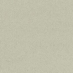 Dreamweaver Carpet Foxwood I Snowbird Carpet 5044_944