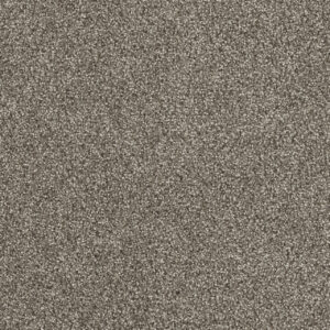 Dreamweaver Carpet Monte Carlo I Baltic Birch Carpet 6200_622