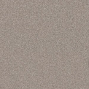 Dreamweaver Carpet Monte Carlo III Parchment Carpet 8200_744