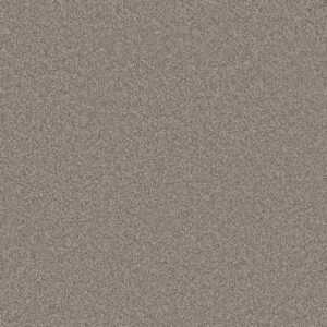 Dreamweaver Carpet Monte Carlo II Iron Frost Carpet 7200_815