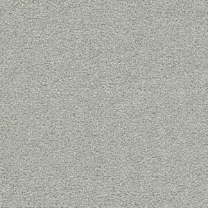 Dreamweaver Carpet Clear Skies III Dove Cove Carpet 5276_2539