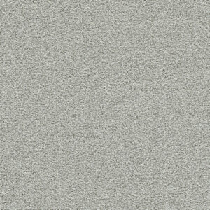 Dreamweaver Carpet Clear Skies I Dove Cove Carpet 5245_2529