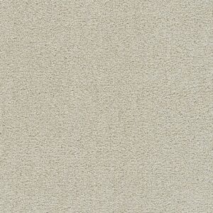 Dreamweaver Carpet Clear Skies III Pale Oak Carpet 5276_4588