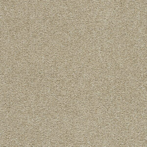 Dreamweaver Carpet Clear Skies II Cream Carpet 5264_580