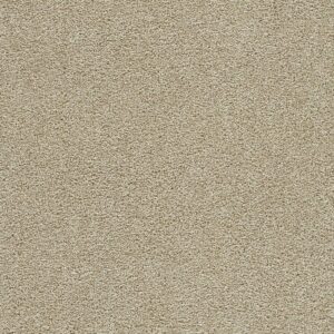 Dreamweaver Carpet Clear Skies III Cream Carpet 5276_580