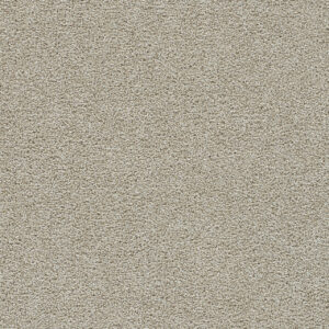 Dreamweaver Carpet Clear Skies II Meadowdale Carpet 5264_768